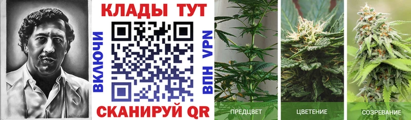 Наркошоп купить COCAIN  ГЕРОИН  Марихуана  Меф  СОЛЬ  Лесосибирск