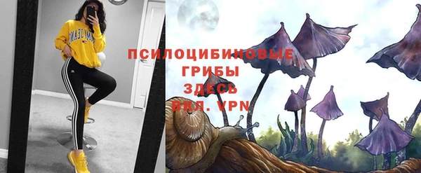 стафф Беломорск