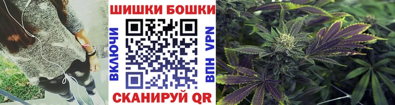 Купить где  Лесосибирск  Каннабис индика 